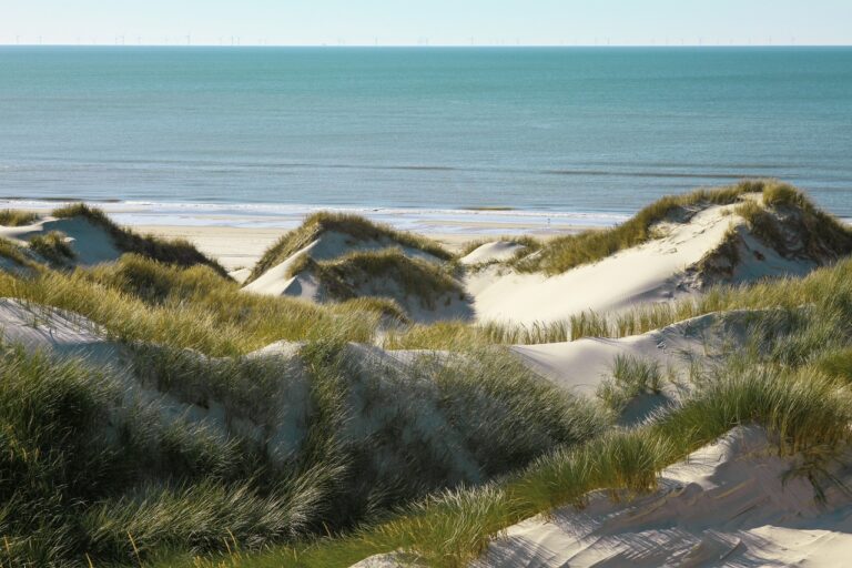 sand dunes, landscape, sea-4503426.jpg