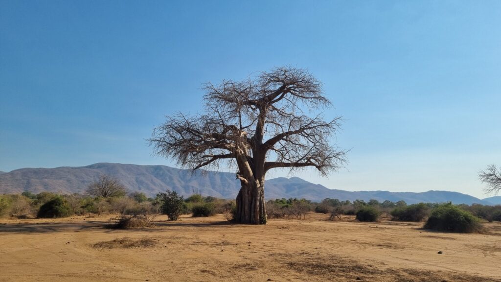 afrika2025 028
