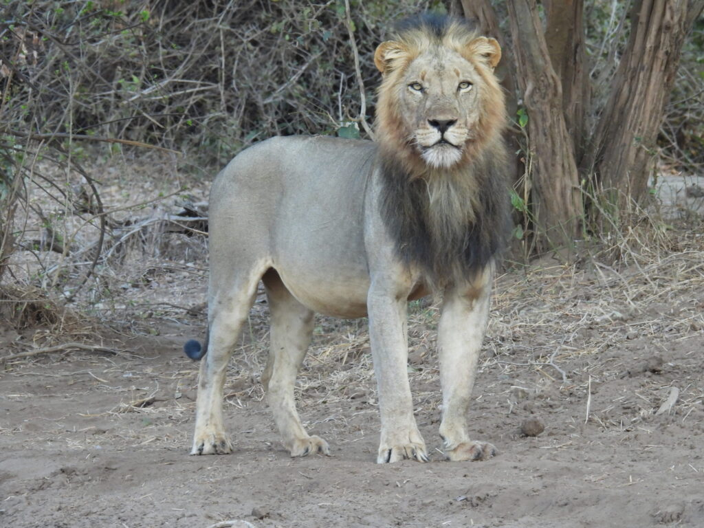 afrika2025 092