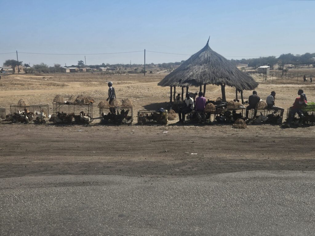 afrika2025 310