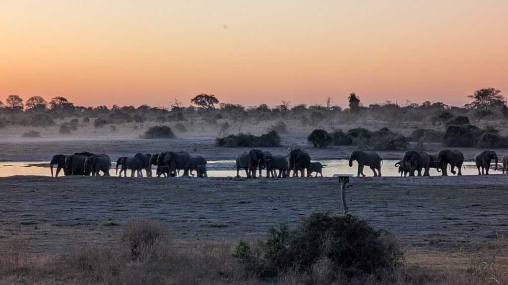 afrika2025 471