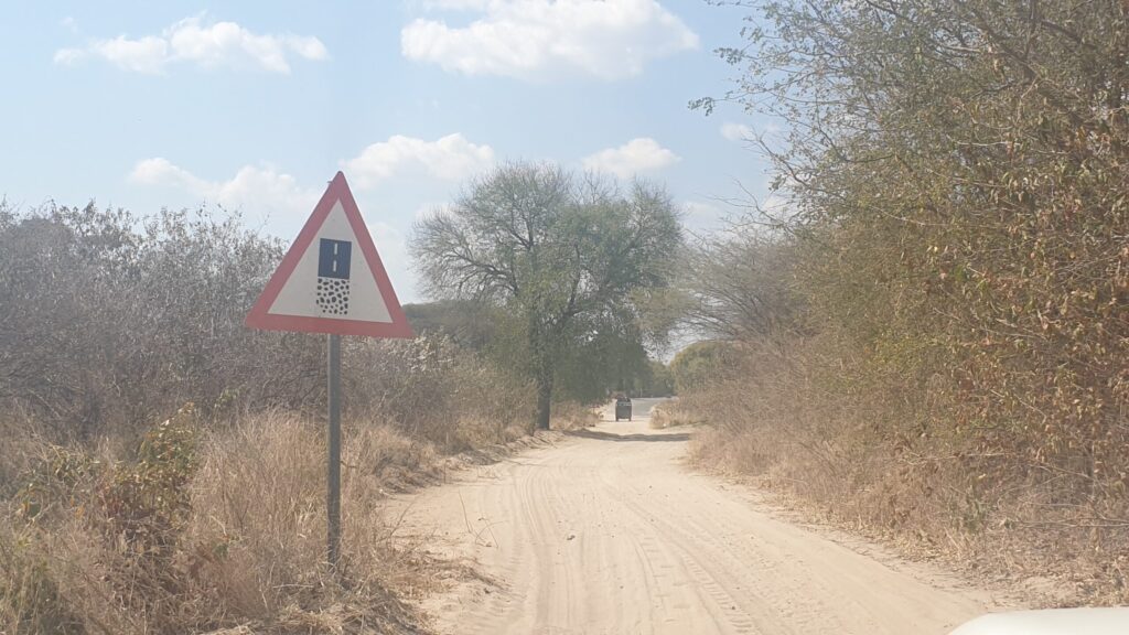 afrika2025 671