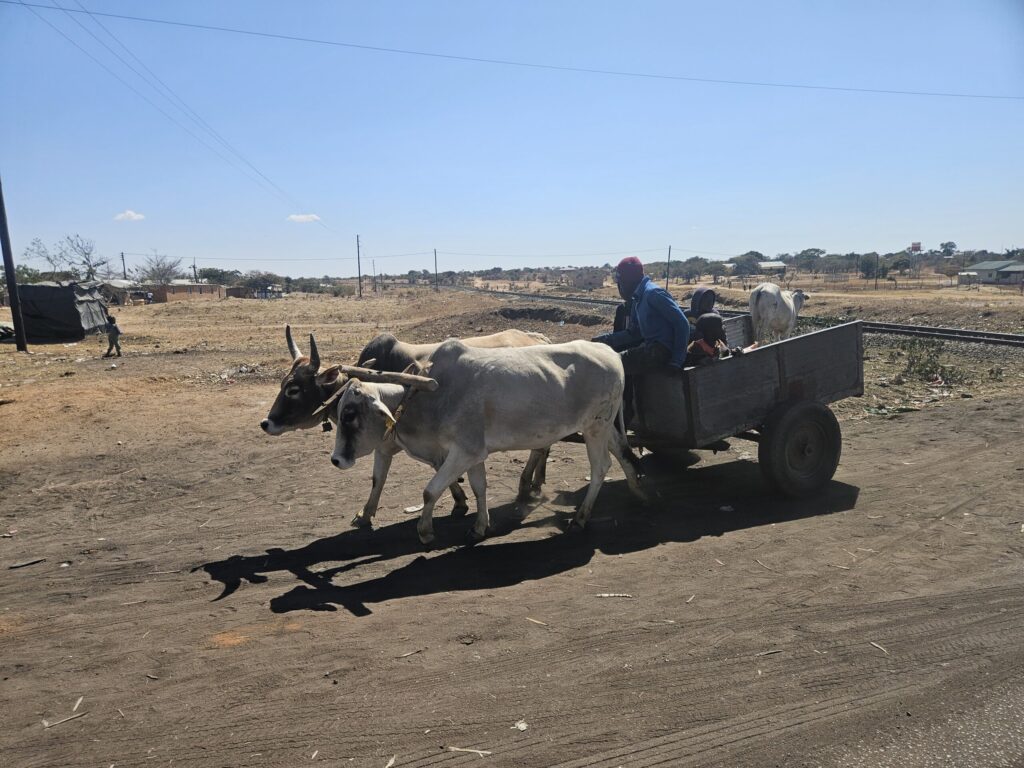 afrika2025 688