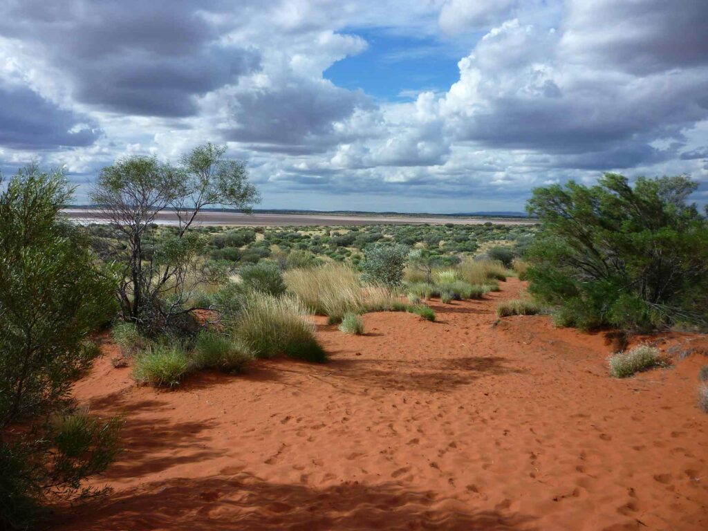 2011 australien 021
