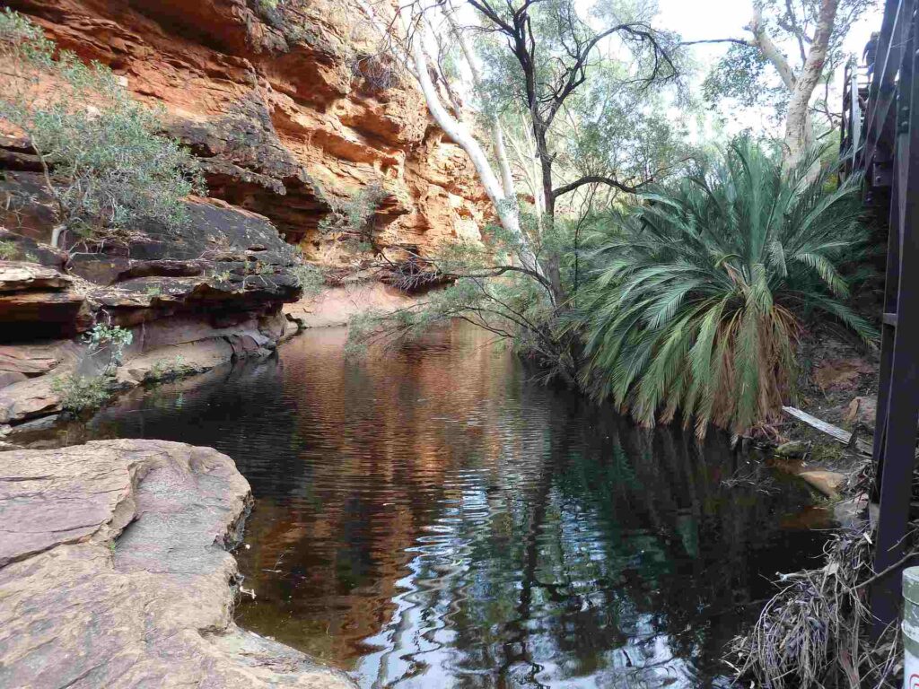 2011 australien 029