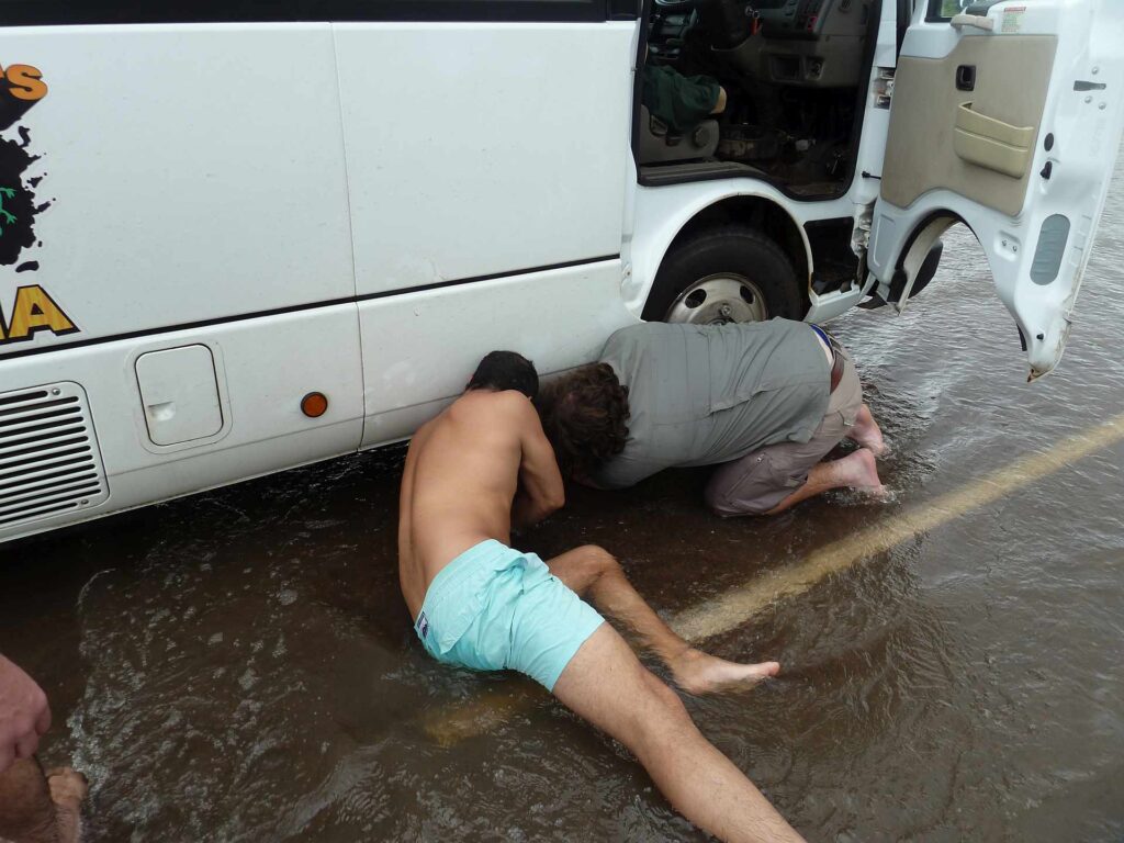 2011 australien 034