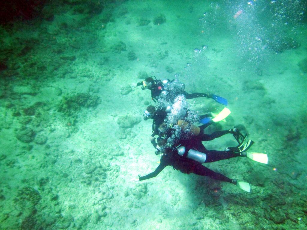 2011 australien 044