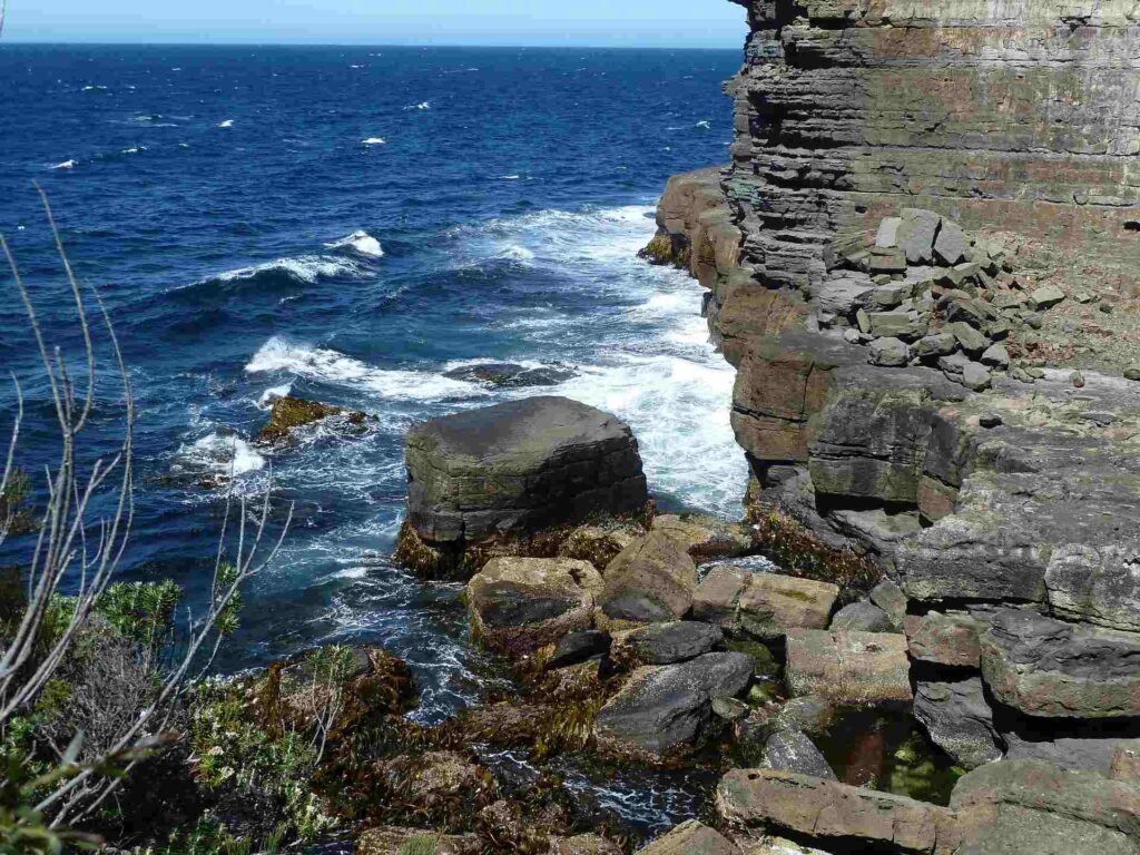 2011 tasmanien 002