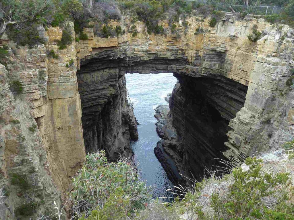 2011 tasmanien 003
