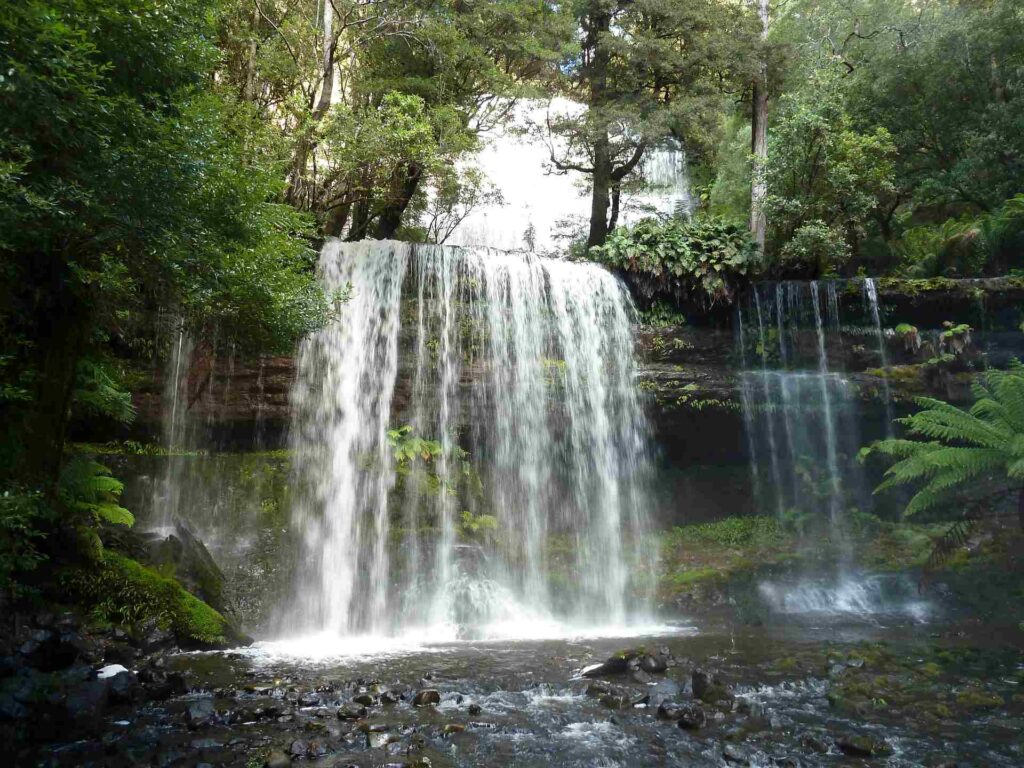 2011 tasmanien 009
