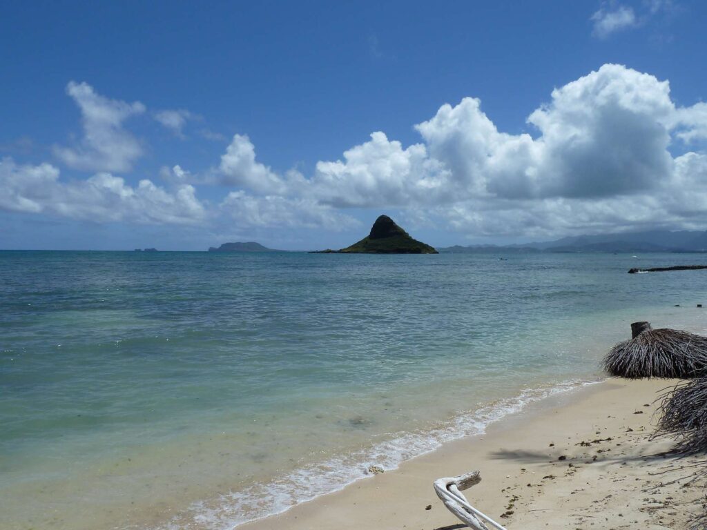 2011 usa 003