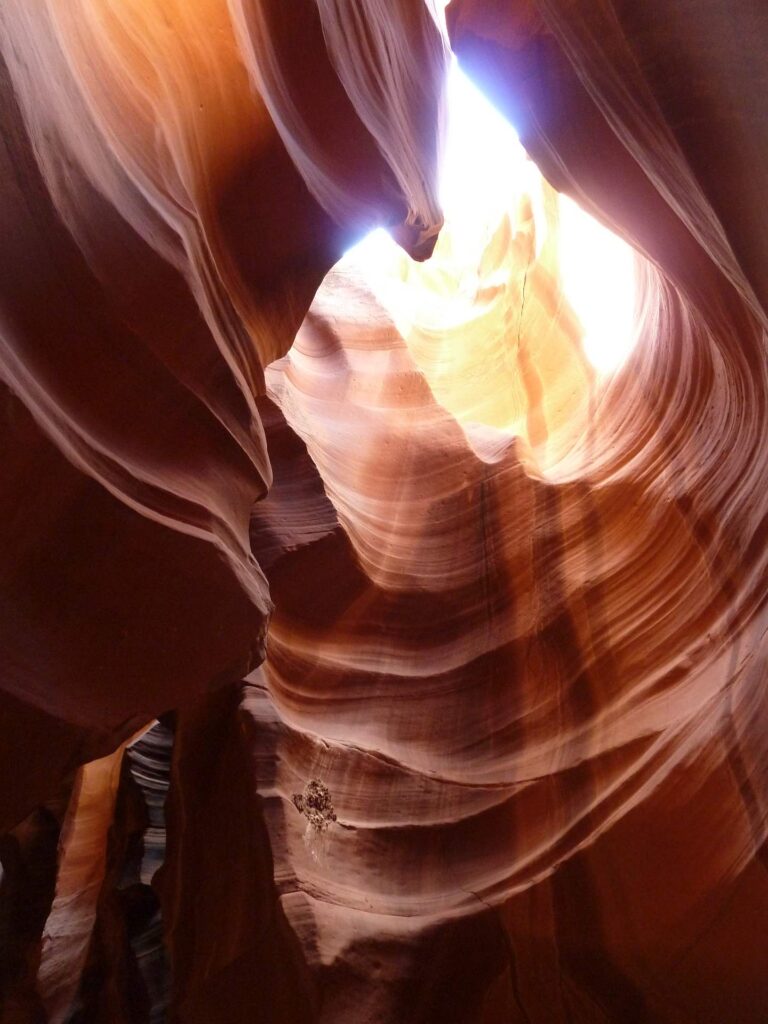 2011 usa 021