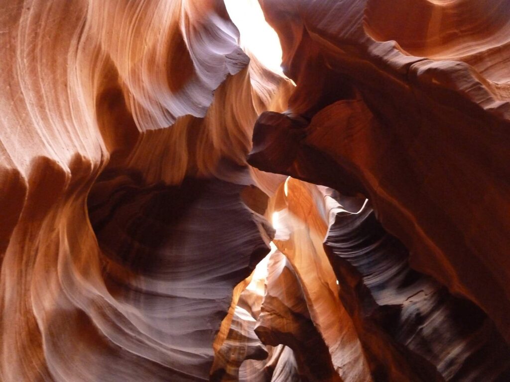 2011 usa 022