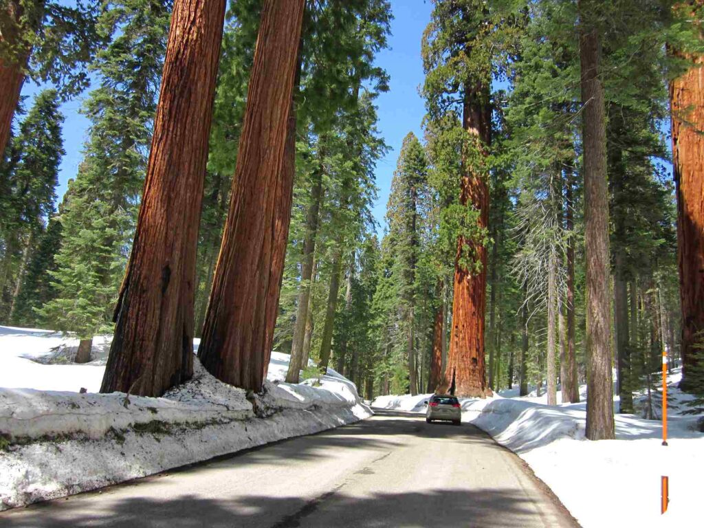 2011 usa 048