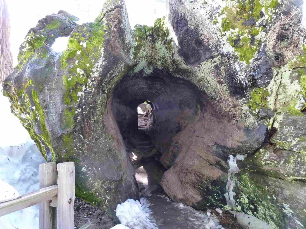 2011 usa 051