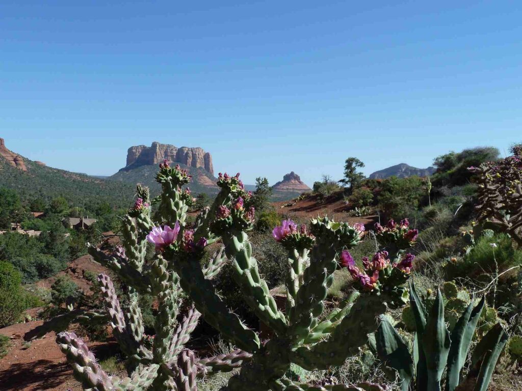 2012 usa 008