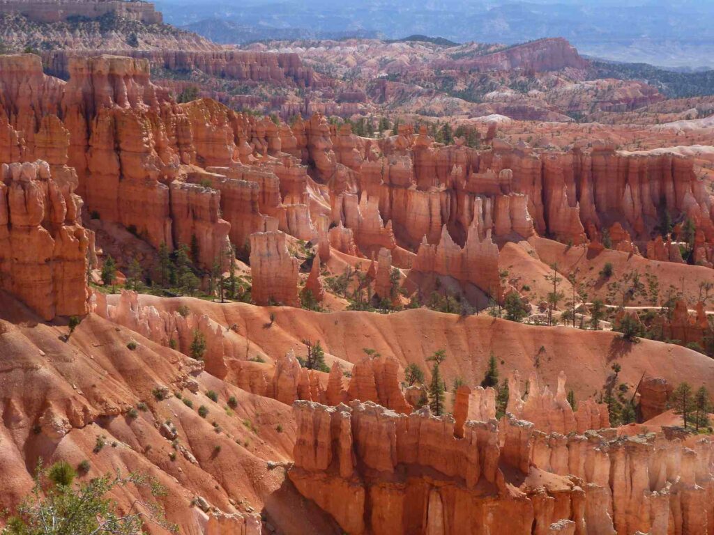 2012 usa 035