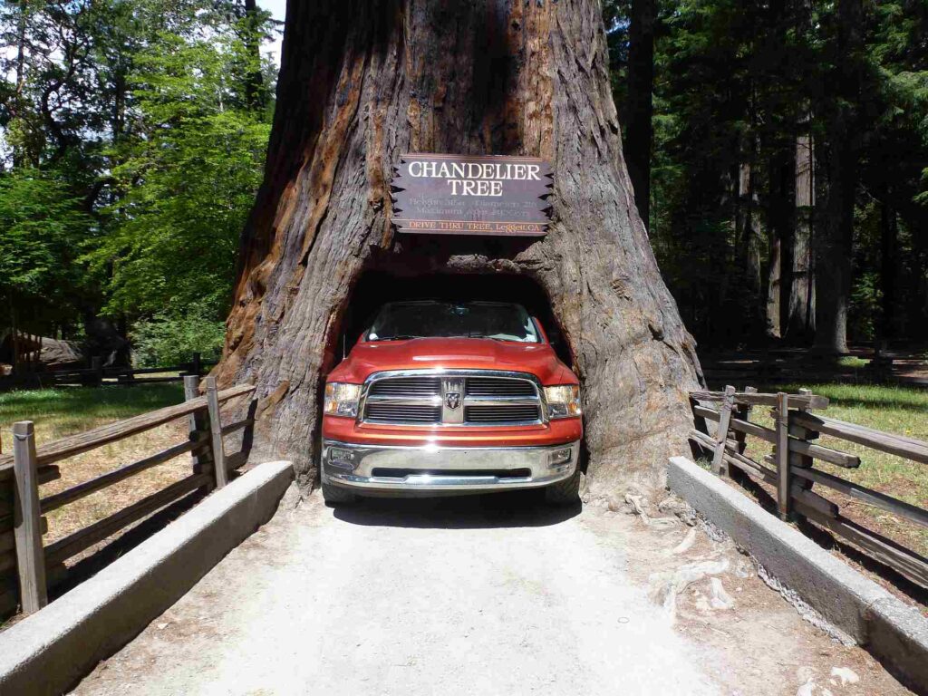 2012 usa 048
