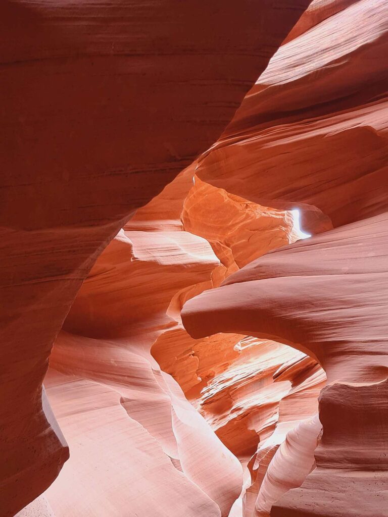 2022 usa 102