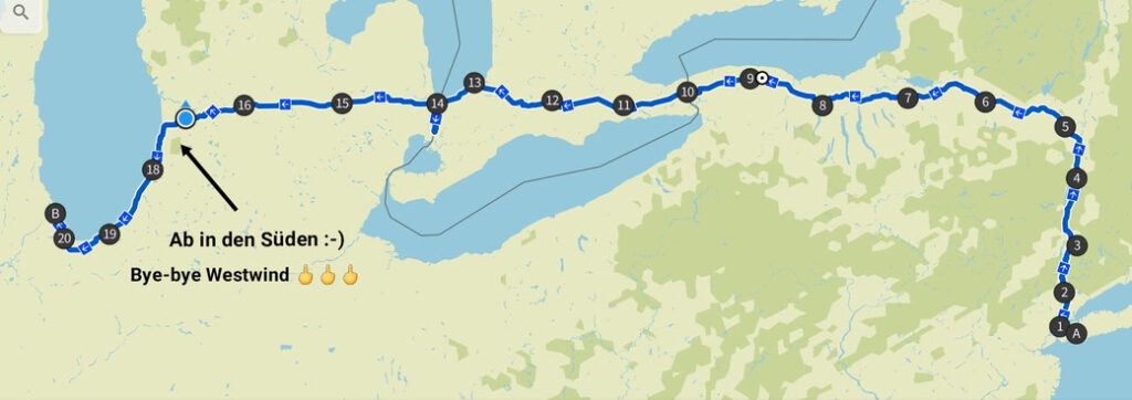 image (2)